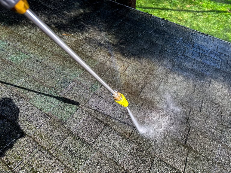 Paver & Patio Cleaning